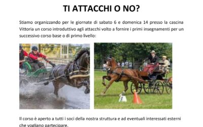 Ti Attacchi o no?