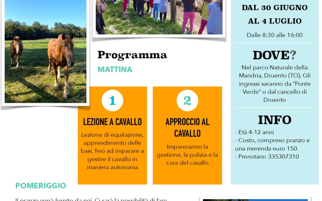 ESTATE RAGAZZI