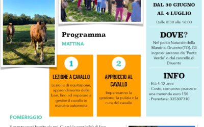 ESTATE RAGAZZI
